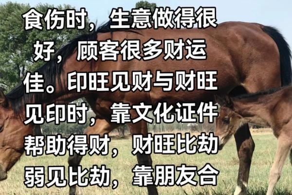 八字命理如何断财运