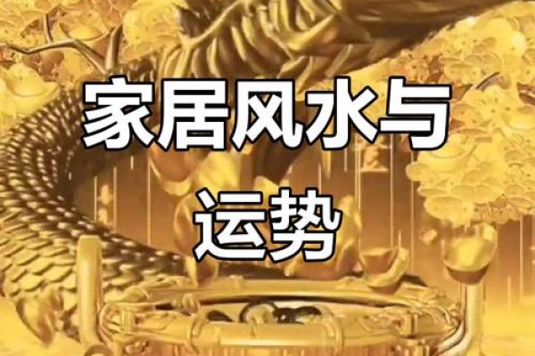 风水聚财术，学会了财运不用愁