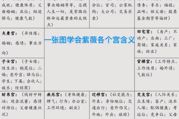 紫薇斗数批八字模式
