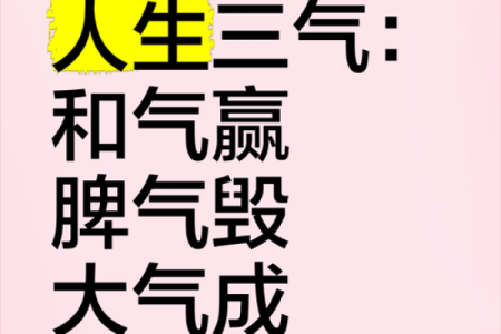 三气八字