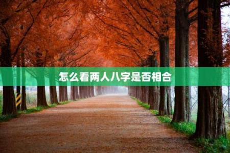 怎么看两个人的八字合不合,算两个人的生辰八字合不合