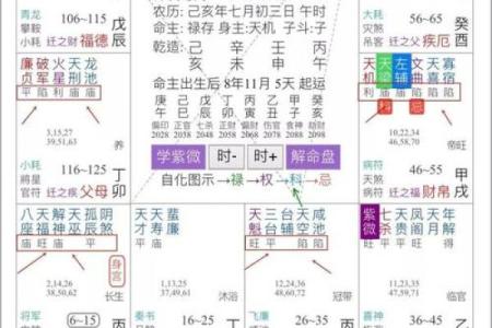紫微斗数诸星落诸宫之：天相星财帛宫详解