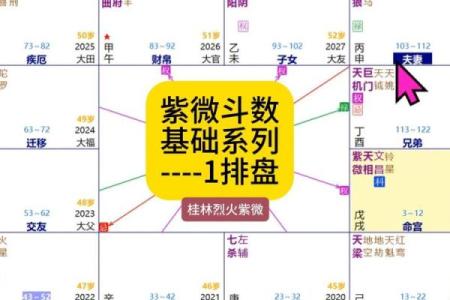测字紫微斗数 紫薇斗数测？
