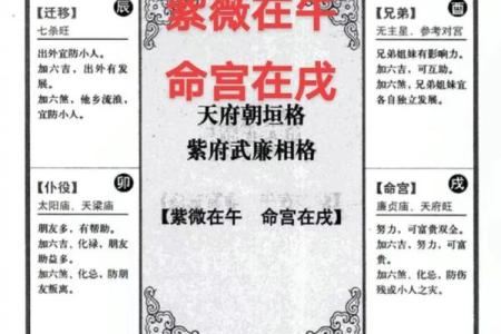 不知道时辰能看紫薇斗数吗