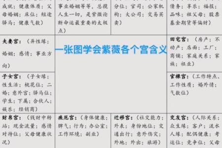 紫薇斗数批八字模式