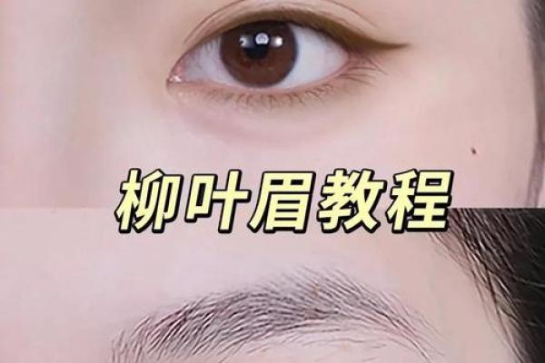 风水角度：柳叶眉女生的面相解释