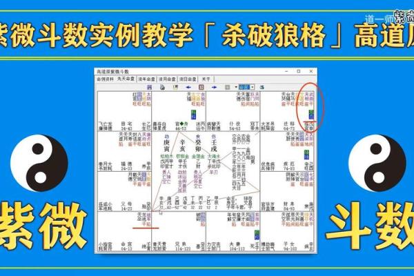 如何自学紫薇斗数