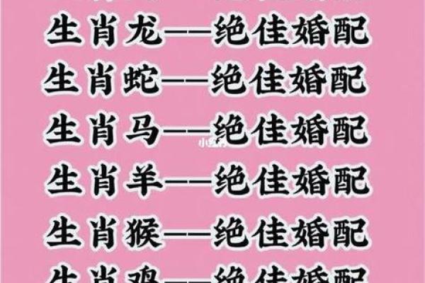 96年女鼠八字姻缘配猪