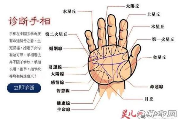 图解;手相赌运纹算命