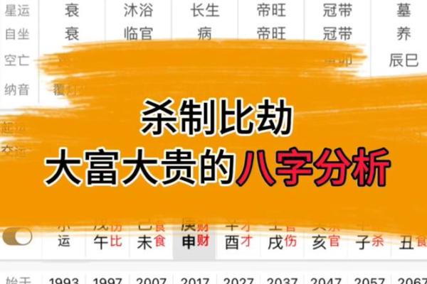 必大贵八字解析：用神特征暗示财富趋势