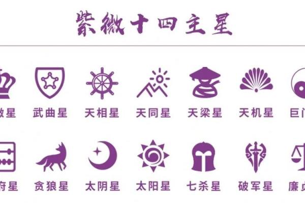 紫薇斗数中国网