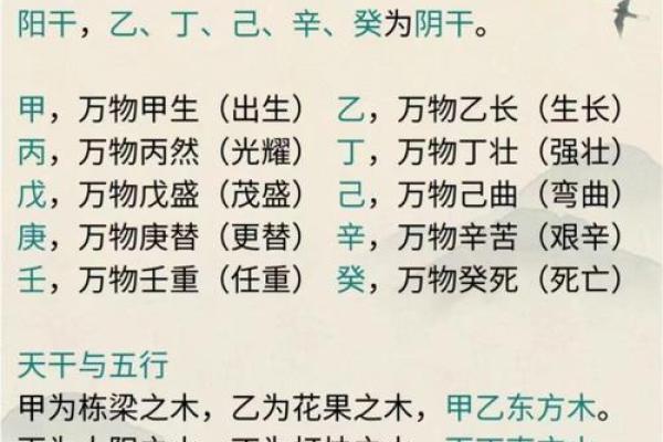 八字十天干的特点要义（上）
