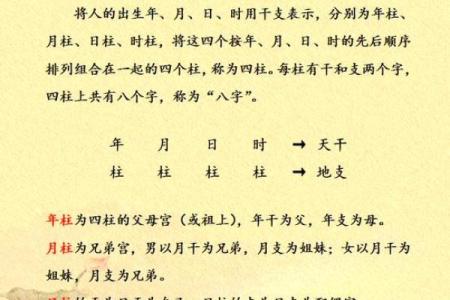 八字财库在月柱好