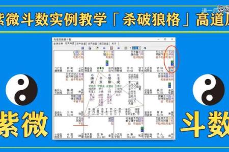 如何自学紫薇斗数