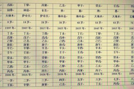 排八字排盘