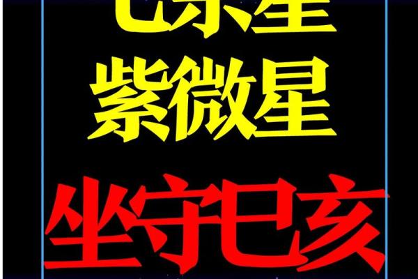 田宅宫有紫薇星七杀星