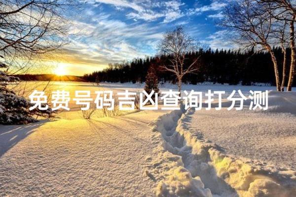 打分网免费打分测试 打分网免费测试打分