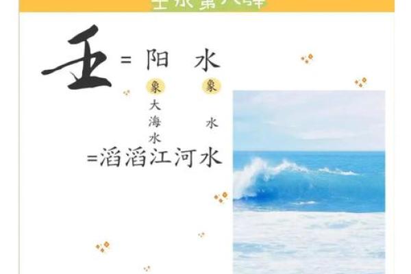 壬水的八字