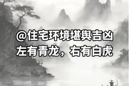风水资讯：家中动到这，整年穷