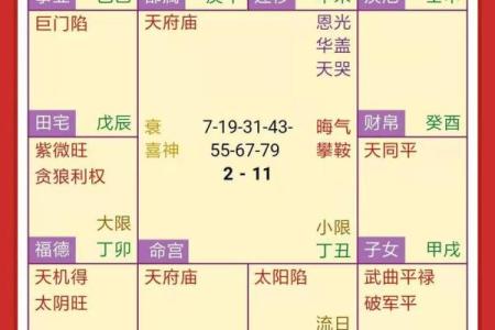 紫薇斗数 命盘是怎么看