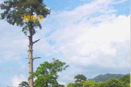 三元风水曾