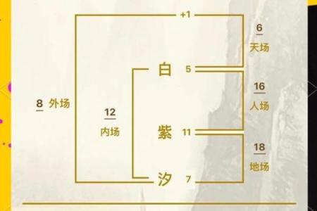 姓名与人生免费测试名典网