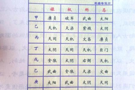 紫薇斗数全书简体