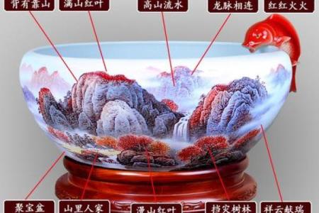 金鱼缸风水尾数功能鱼算不
