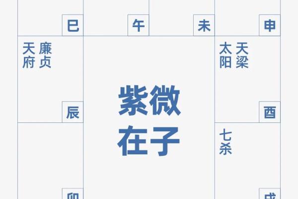 紫薇斗数看怀孕年限