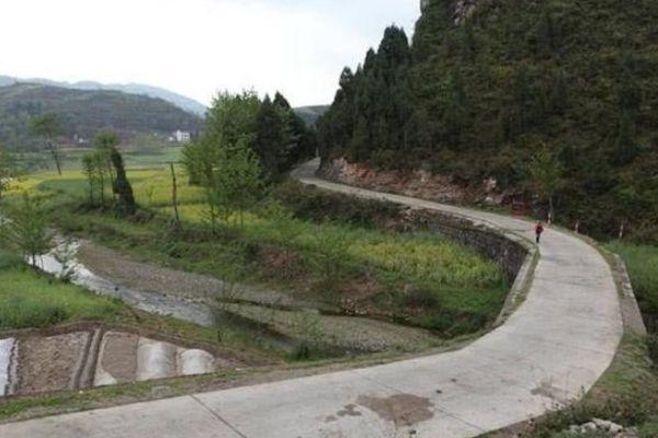 见了“黄大仙”，这事不一般，农民很为难