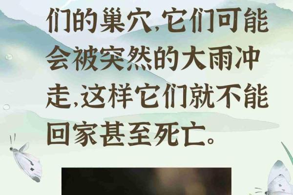 下雨天搬家风水有什么讲究好不好吗