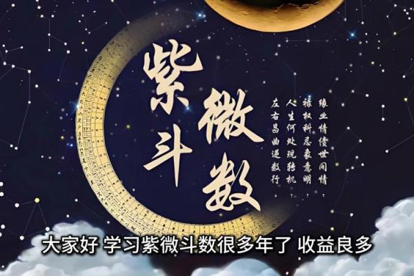 最准紫薇斗数app