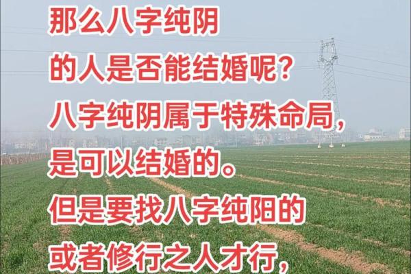 天生姻缘好的八字女命是什么