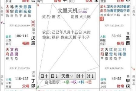 紫薇斗数中年龄