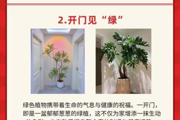 风水财运门前种树也不要种这三棵树禁忌