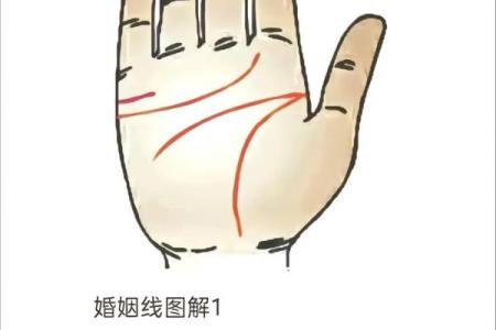 女人手相算命图解女人婚姻 婚姻线看感情生活