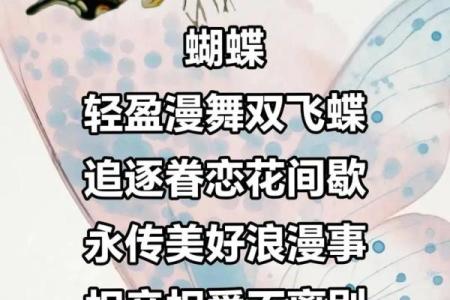 什么八字是蝴蝶双飞格