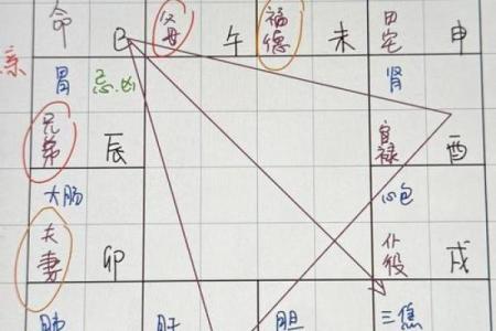 紫薇斗数辰戌宫