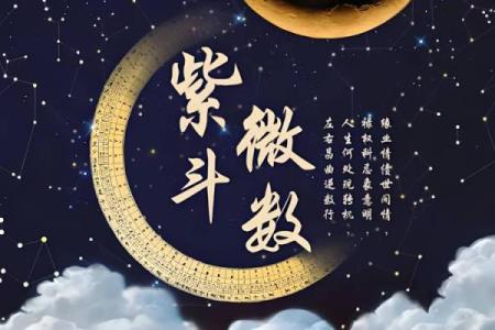 新白娘子紫薇斗数