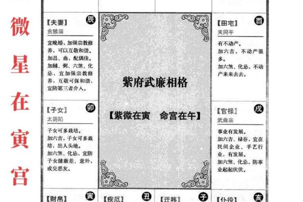 紫薇斗数排盘死
