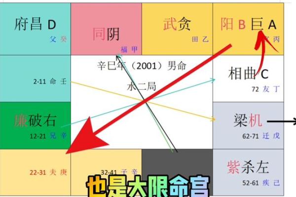 紫薇斗数排盘死