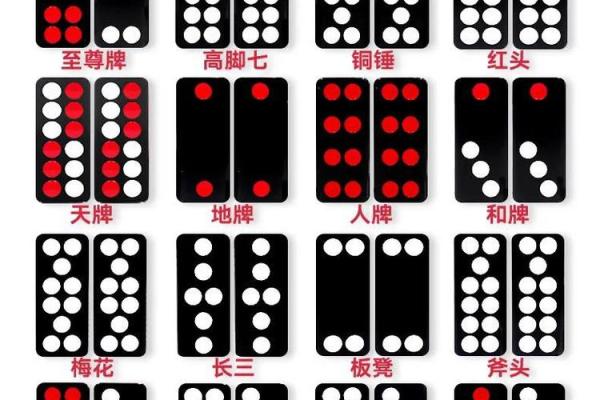 那种算命的牌叫什么