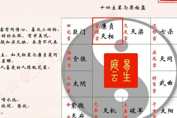 紫微斗数大限紫薇天相 紫微斗数大限排盘实验室？