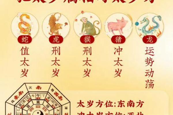 紫薇斗数太岁怎么看