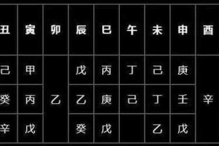 算命扎根是什么