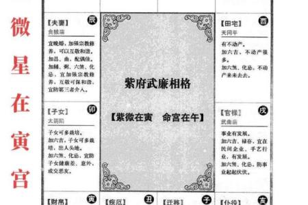 紫薇斗数排盘死