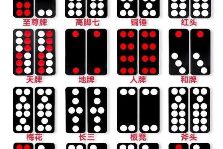 那种算命的牌叫什么
