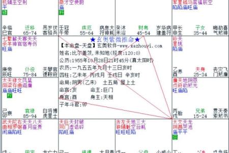 紫薇斗数太阴的排法