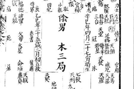 紫薇斗数全书在线阅读