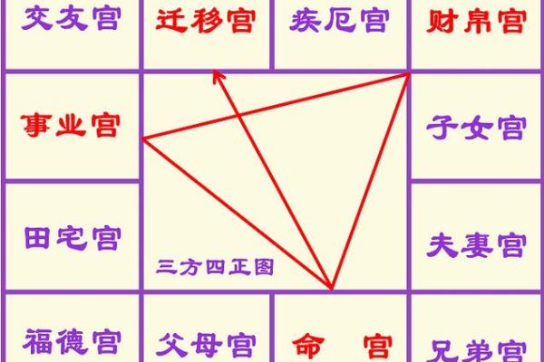 紫薇斗数和梅花易数哪个准